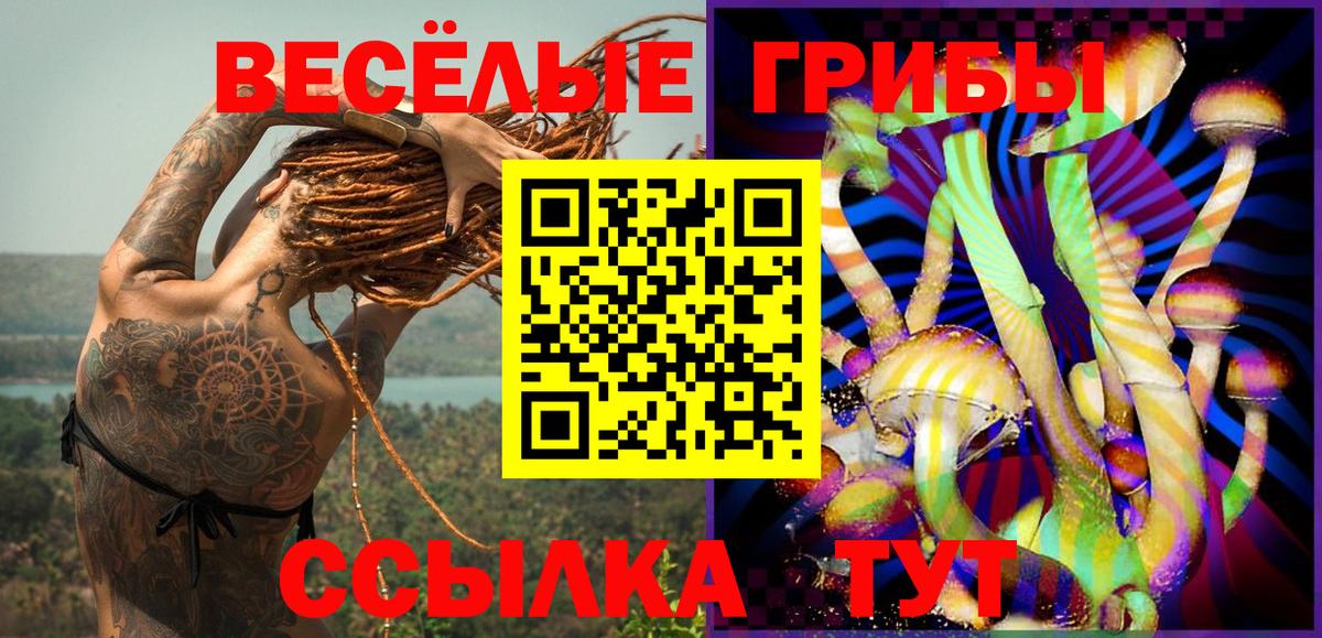 Галлюциногенные грибы мухоморы Краснокаменск
