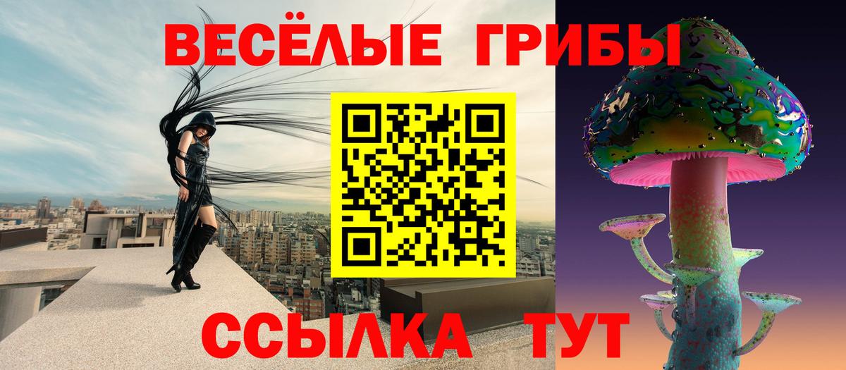Галлюциногенные грибы мицелий  Вход с VPN  Краснокаменск 